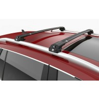 BARRE PORTATUTTO ALLUMINIO PER DACIA DUSTER (2010-2013) RAILING STANDARD - NERO